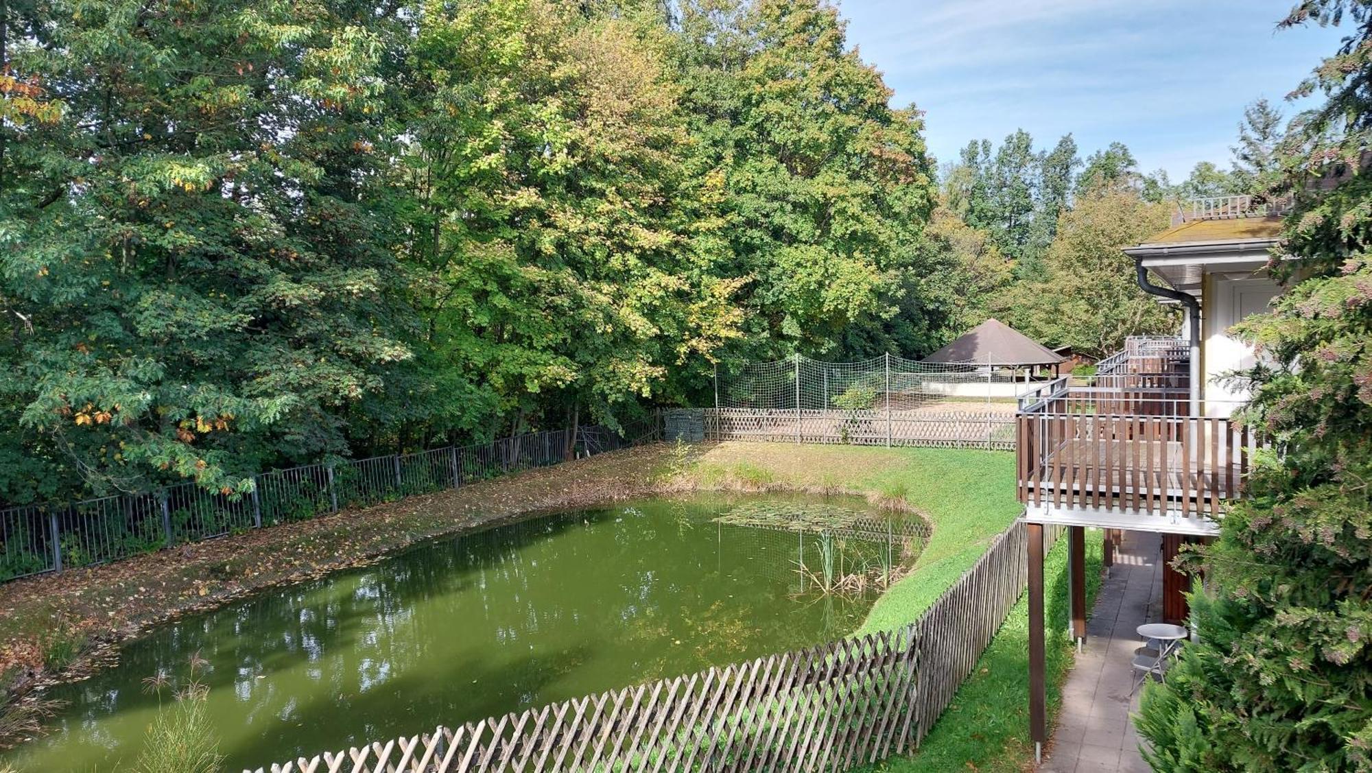 Ferienwohnung Teichblick Freiberg Buitenkant foto